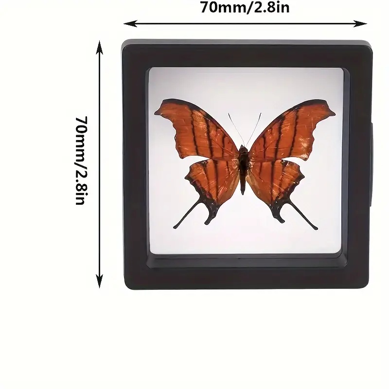 20 piezas Clearview 3D vitrina - Jewelry Making Organizer Box reseña y precio